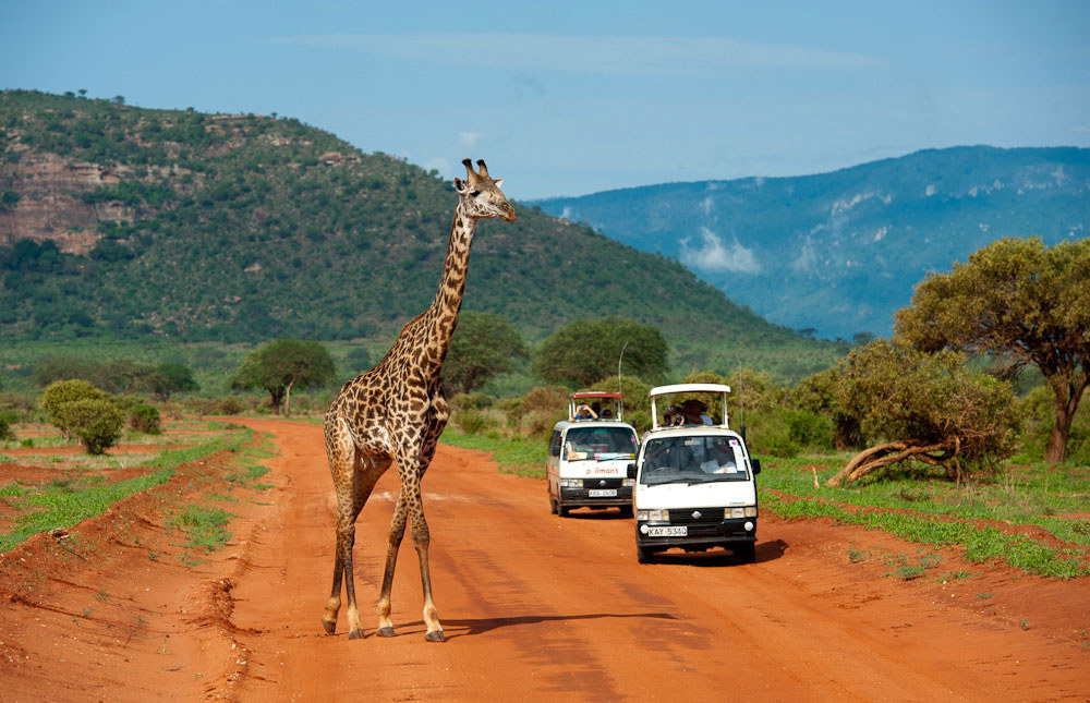 10 Unmissable Things to Do in Kenya: Safaris, Beaches & Culture